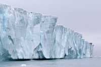 088e Ice Cliffs IMG_8320